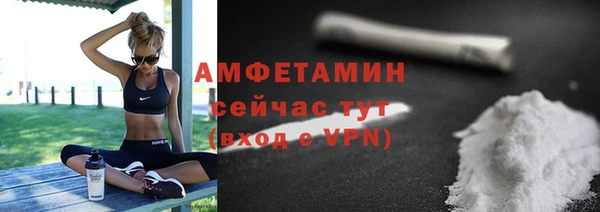 индика Кукмор