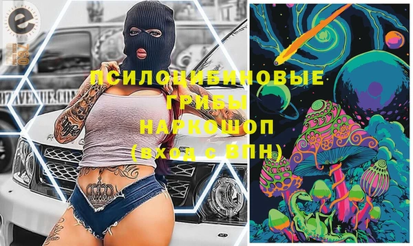 индика Кукмор