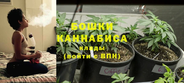 индика Кукмор