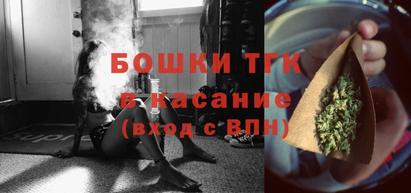 индика Кукмор
